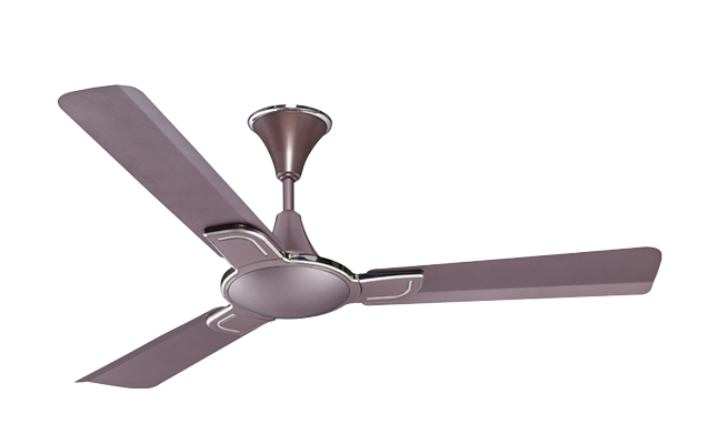 Lavender Fan