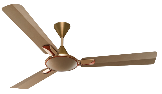 Ceiling Fan Manufacturer