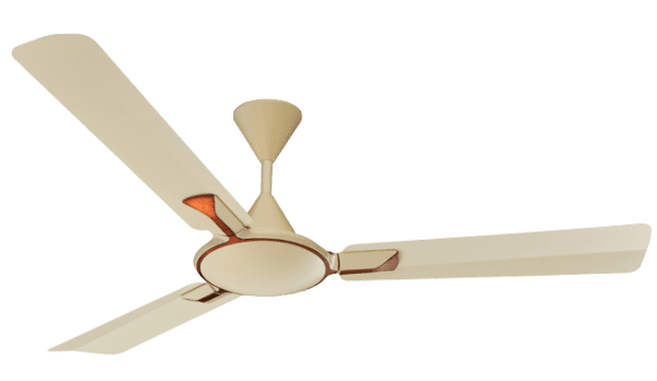 Ceiling Fan Manufacturer