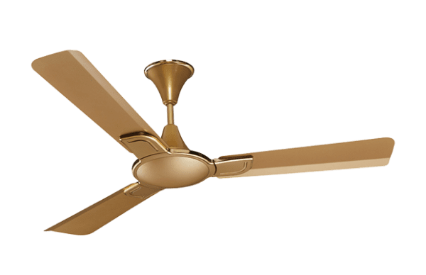 Ceiling Fan Manufacturer