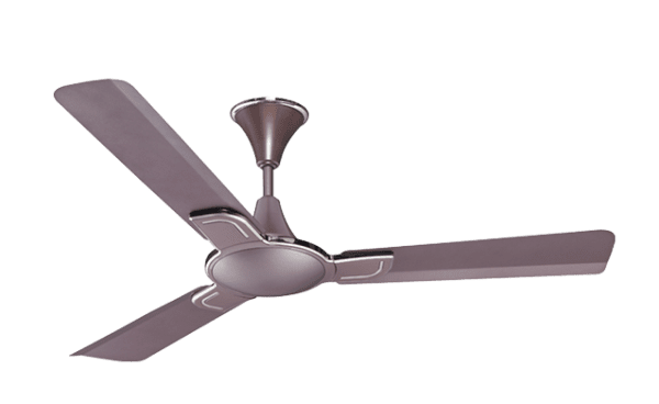 Ceiling Fan Manufacturer