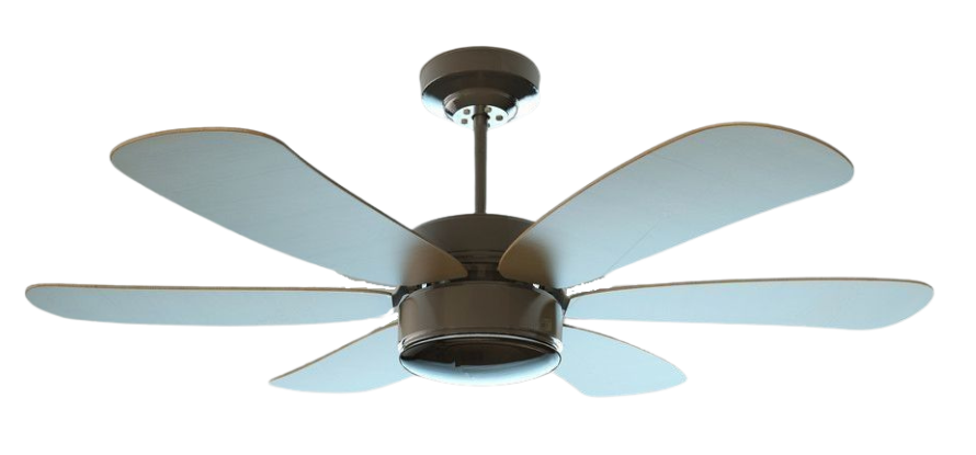 Ceiling Fan Manufacturer company