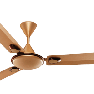 Ceiling Fan Manufacturer