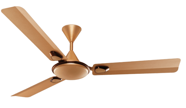 Ceiling Fan Manufacturer